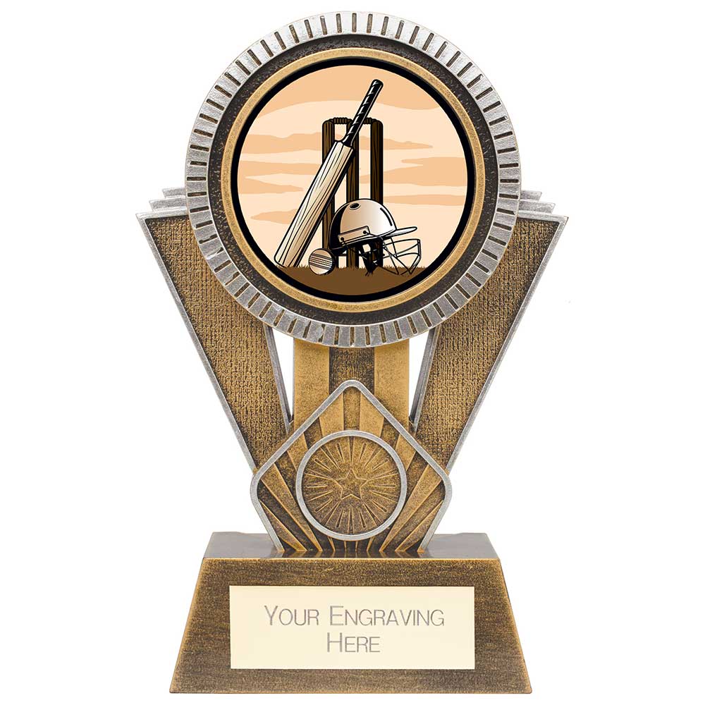 Apex Cricket Award Gold & Silver - 180mm