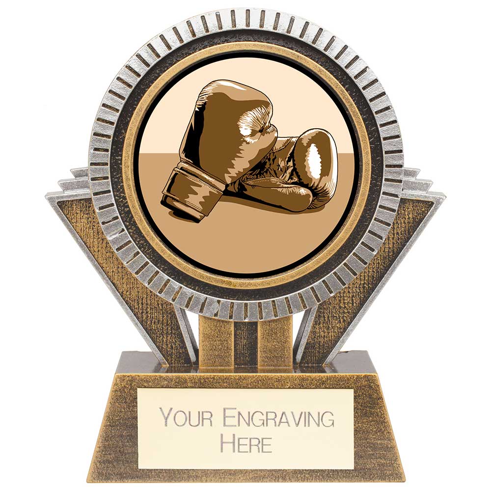 Apex Boxing Award Gold & Silver - 130mm