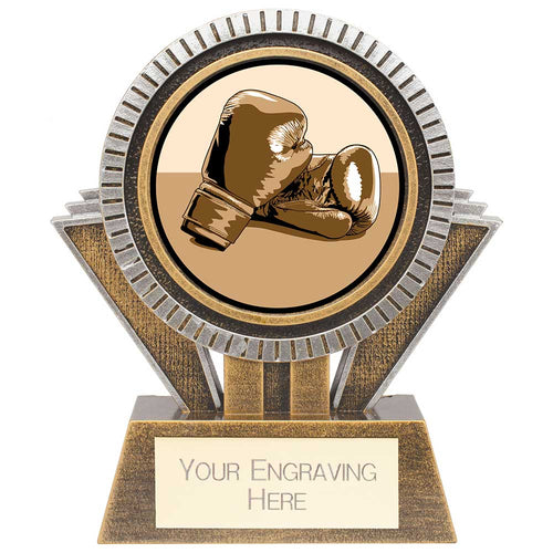 Apex Boxing Award Gold & Silver - 130mm
