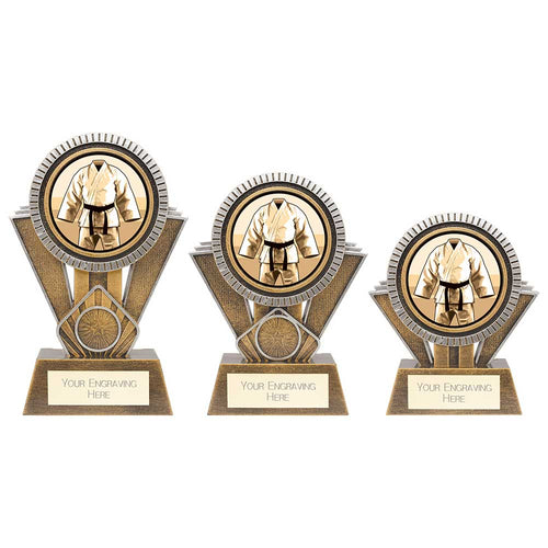 Apex Martial Arts Award Gold & Silver