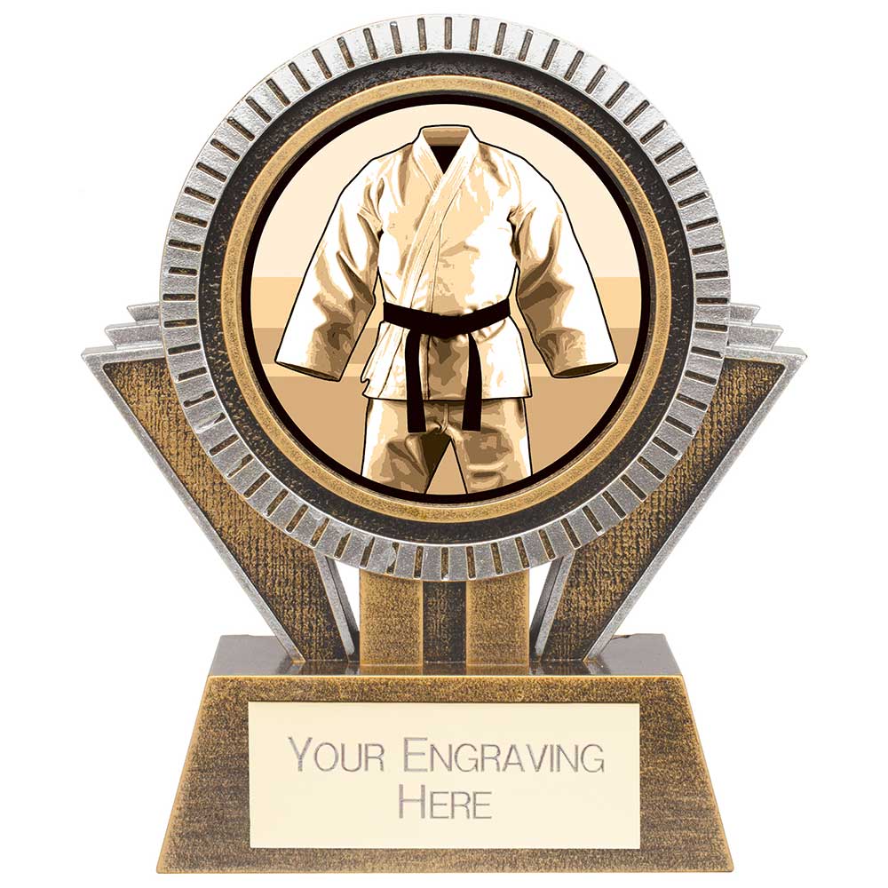Apex Martial Arts Award Gold & Silver - 130mm