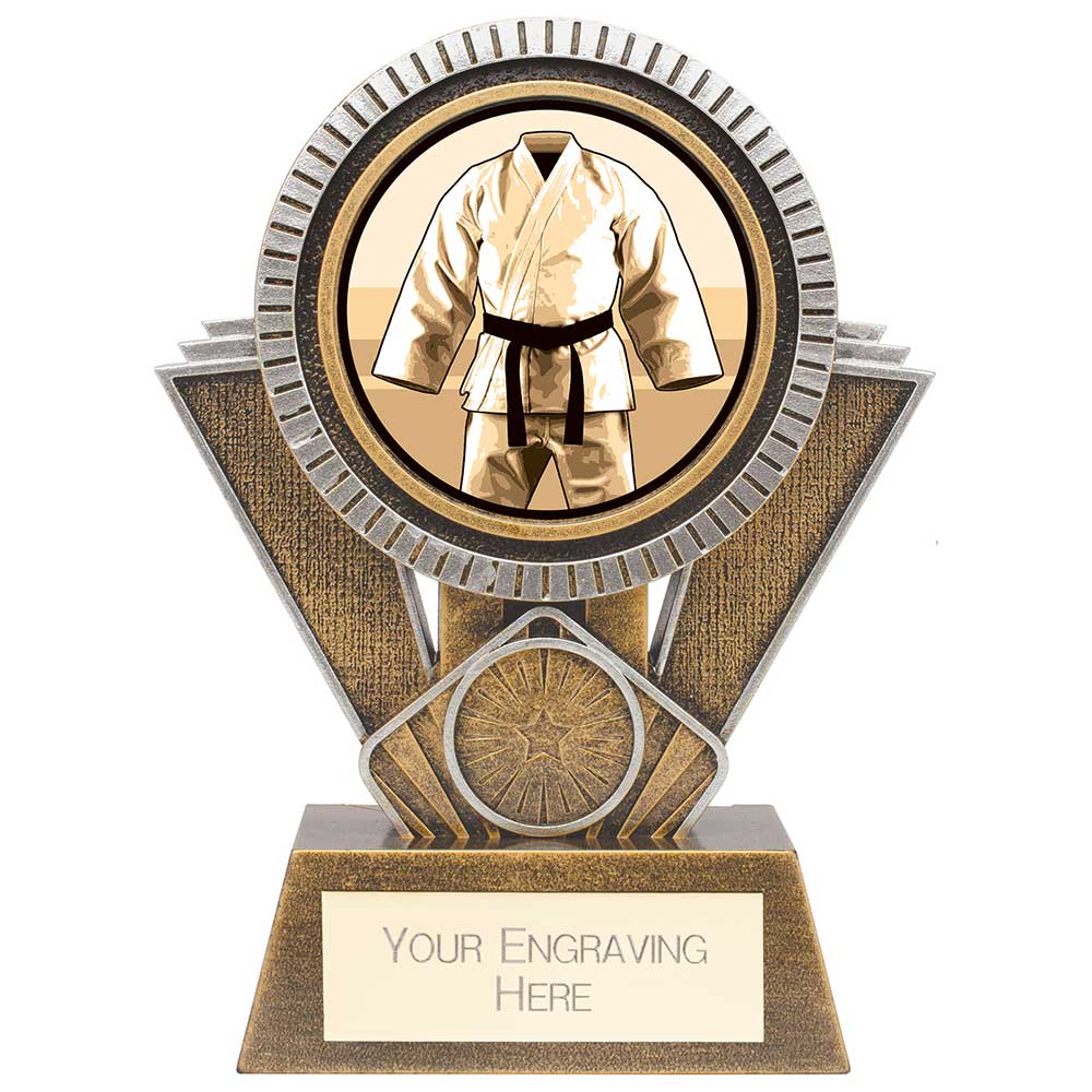 Apex Martial Arts Award Gold & Silver - 155mm