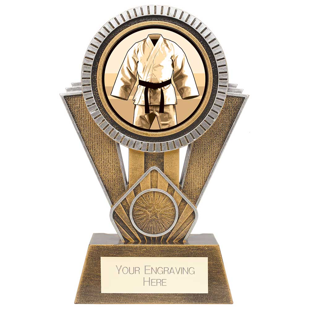 Apex Martial Arts Award Gold & Silver - 180mm