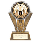 Apex Martial Arts Award Gold & Silver - 180mm