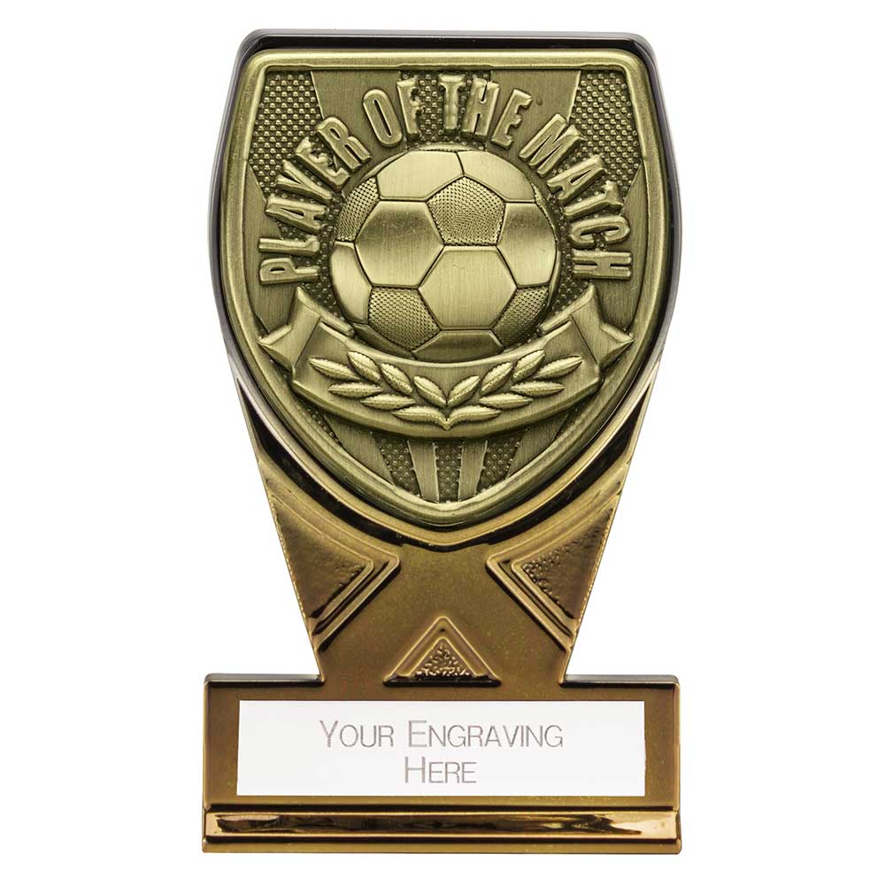 Fusion Cobra Player of Match Award - 110mm