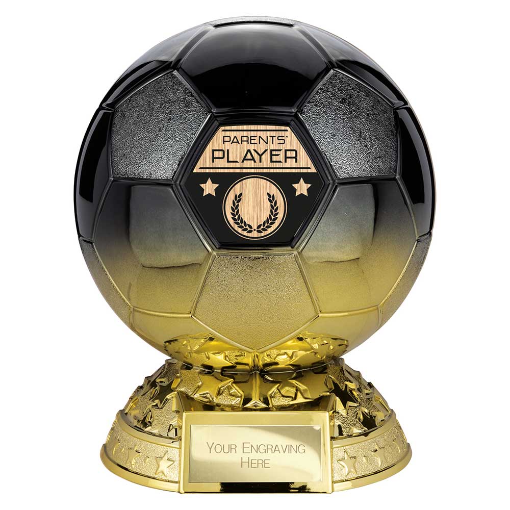 Elite Heavyweight Parents Player Award - 205mm