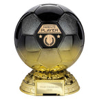 Elite Heavyweight Parents Player Award - 205mm