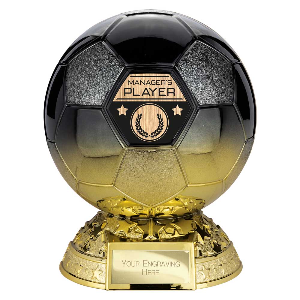 Elite Heavyweight Managers Player Award - 185mm