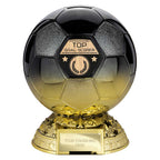 Elite Heavyweight Top Goal Scorer Award - 205mm