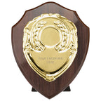 Reward Shield & Front - 125mm