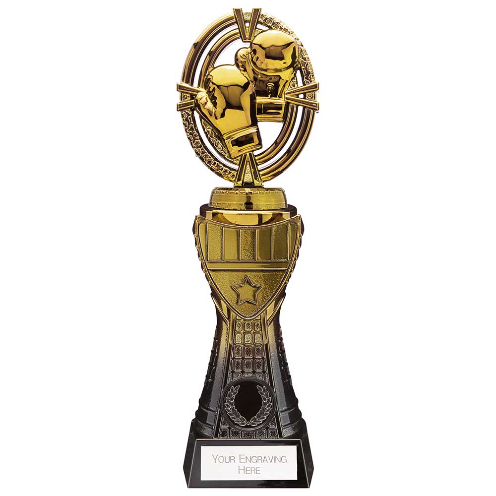 Maverick Heavyweight Boxing Award - 250mm