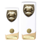 Prime Cobra Football Shirt & Ball Award
