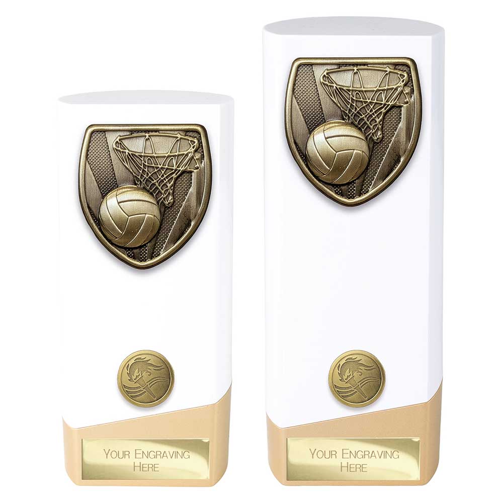 Prime Cobra Netball Award