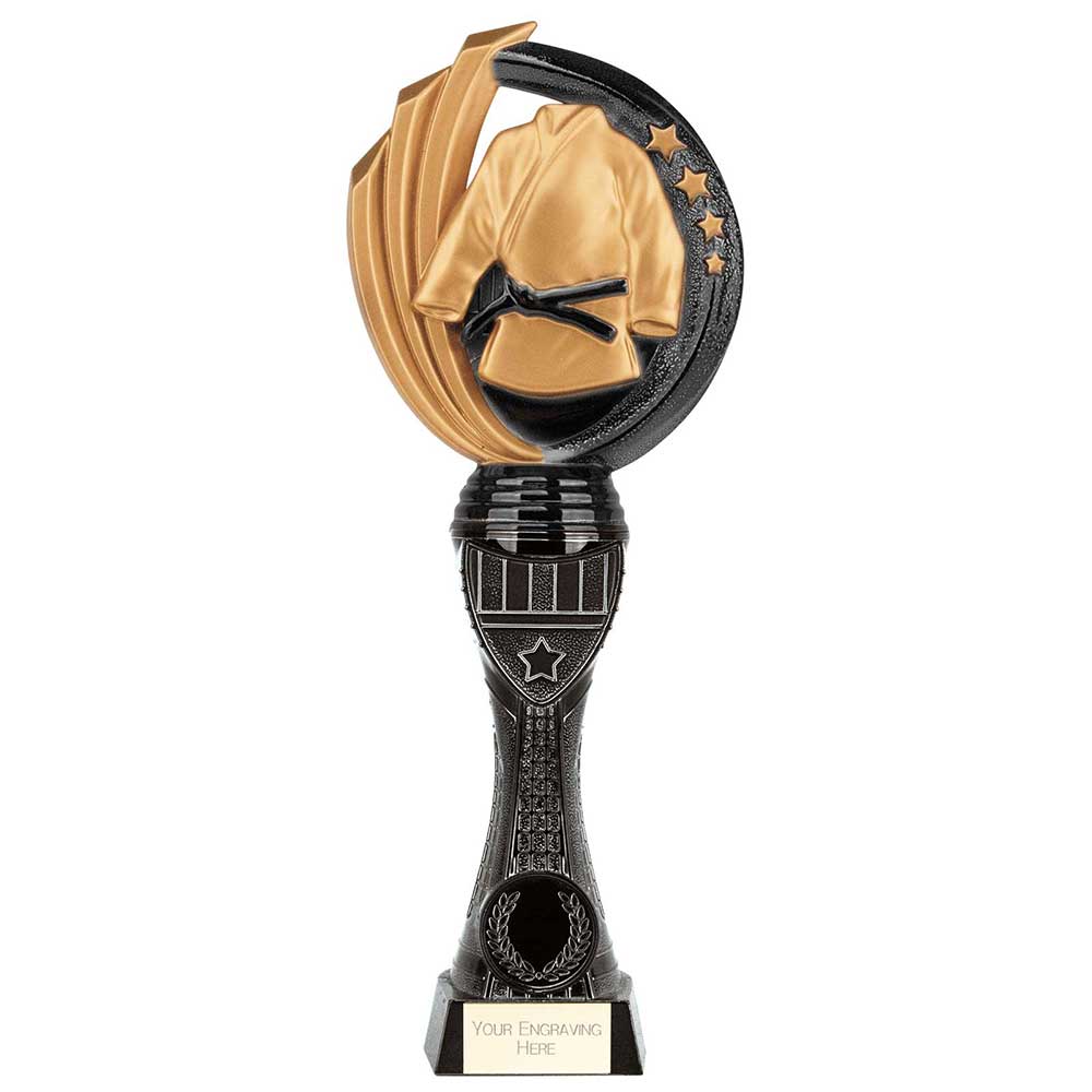 Renegade Heavyweight Martial Arts Award - 250mm