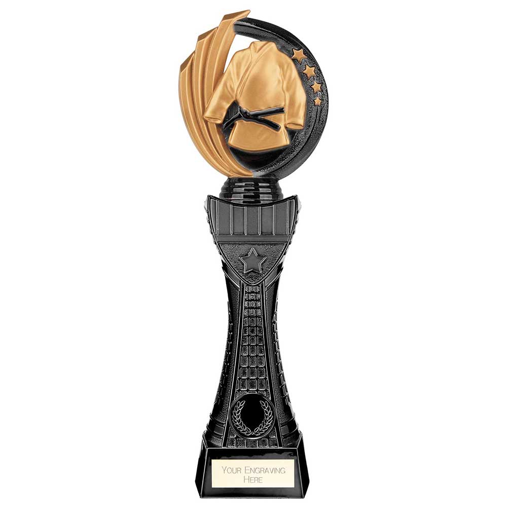 Renegade Heavyweight Martial Arts Award - 310mm