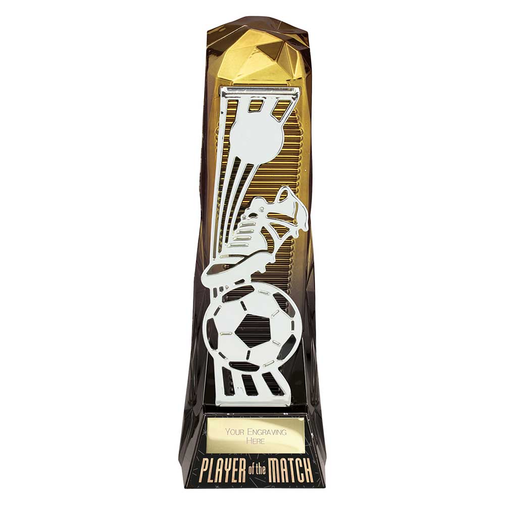 Shard Football Player of the Match Award - 230mm
