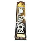 Shard Football Thank You Coach Award - 230mm
