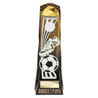 Shard Football Managers Player Award - 230mm