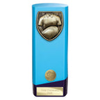 Prime Cobra Rugby Shirt & Ball Award - 190mm