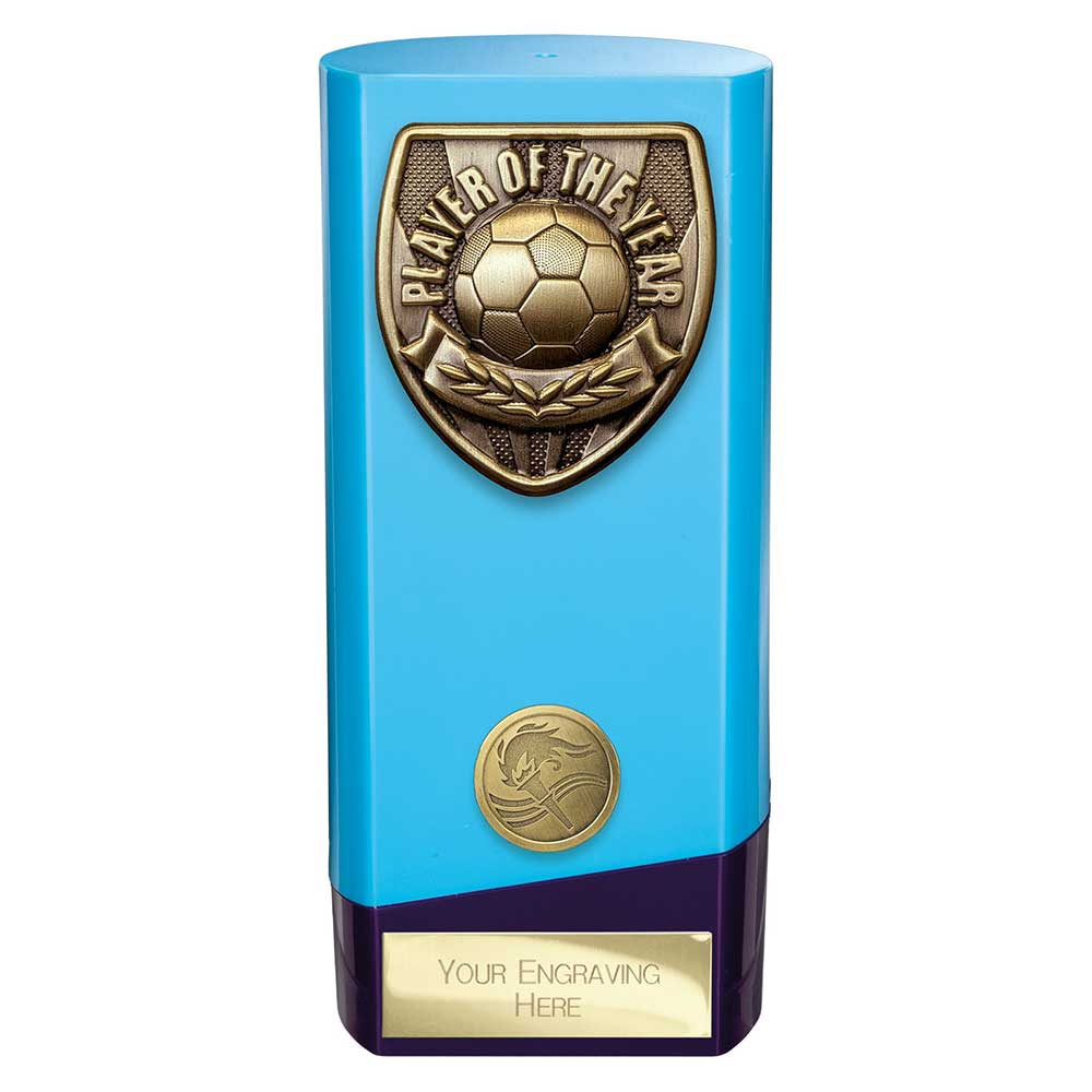 Prime Cobra Player of Year Award - 160mm