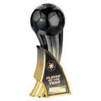 Firestorm Heavyweight Player of Year - 240mm