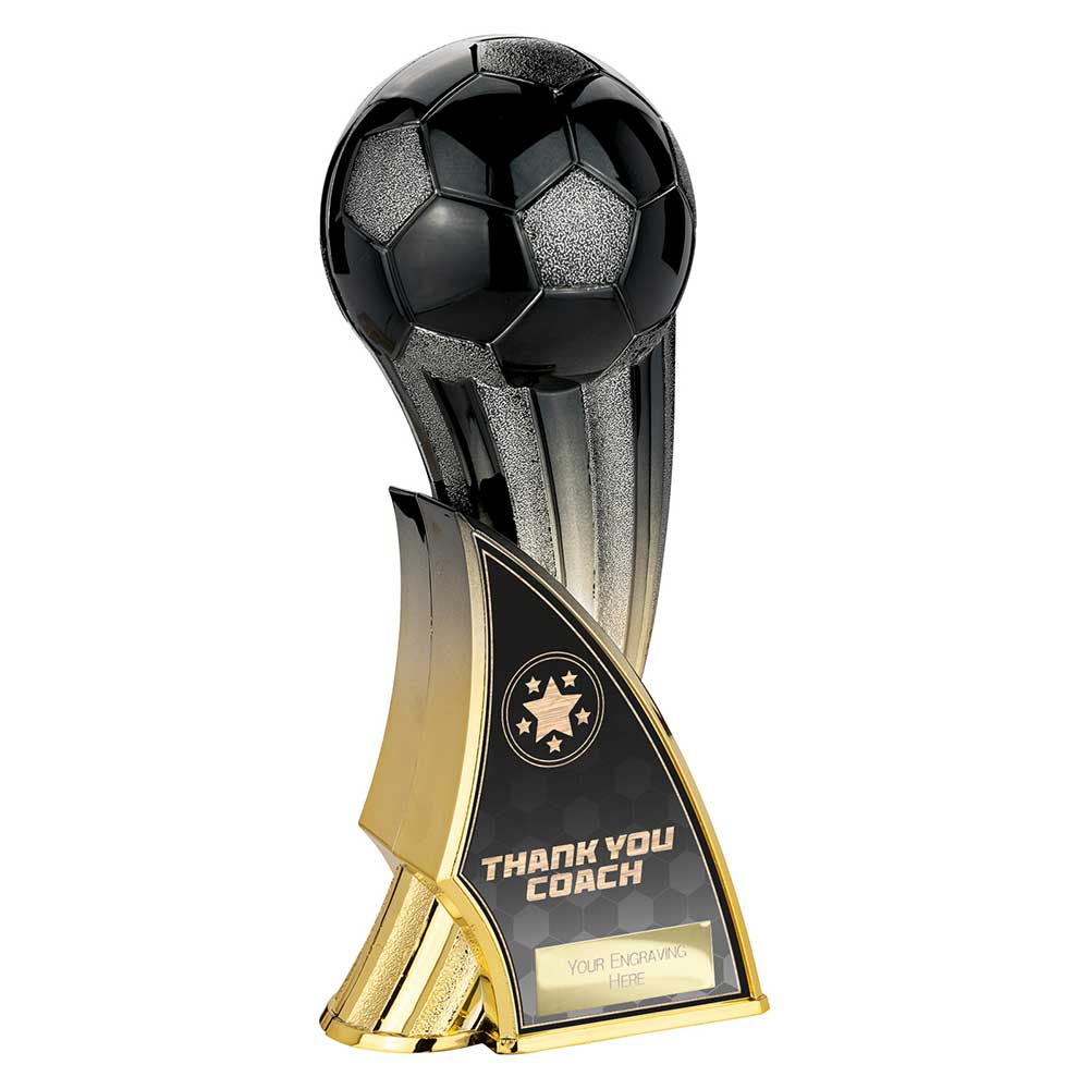 Firestorm Heavyweight Thank You Coach - 220mm