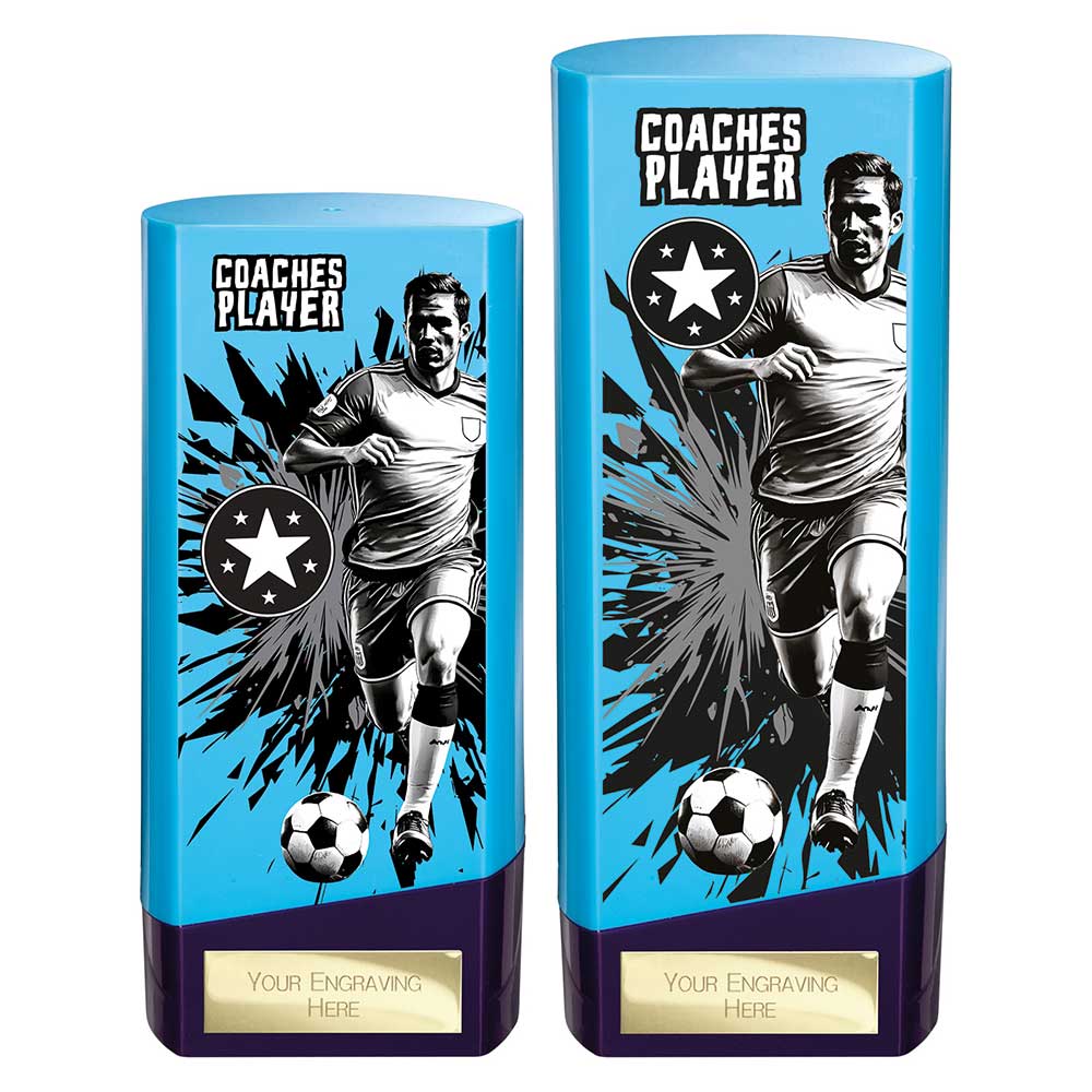 Prime Heavyweight Coaches Player