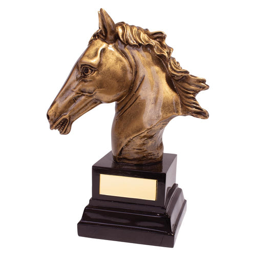 Belmont Equestrian Award - 170mm