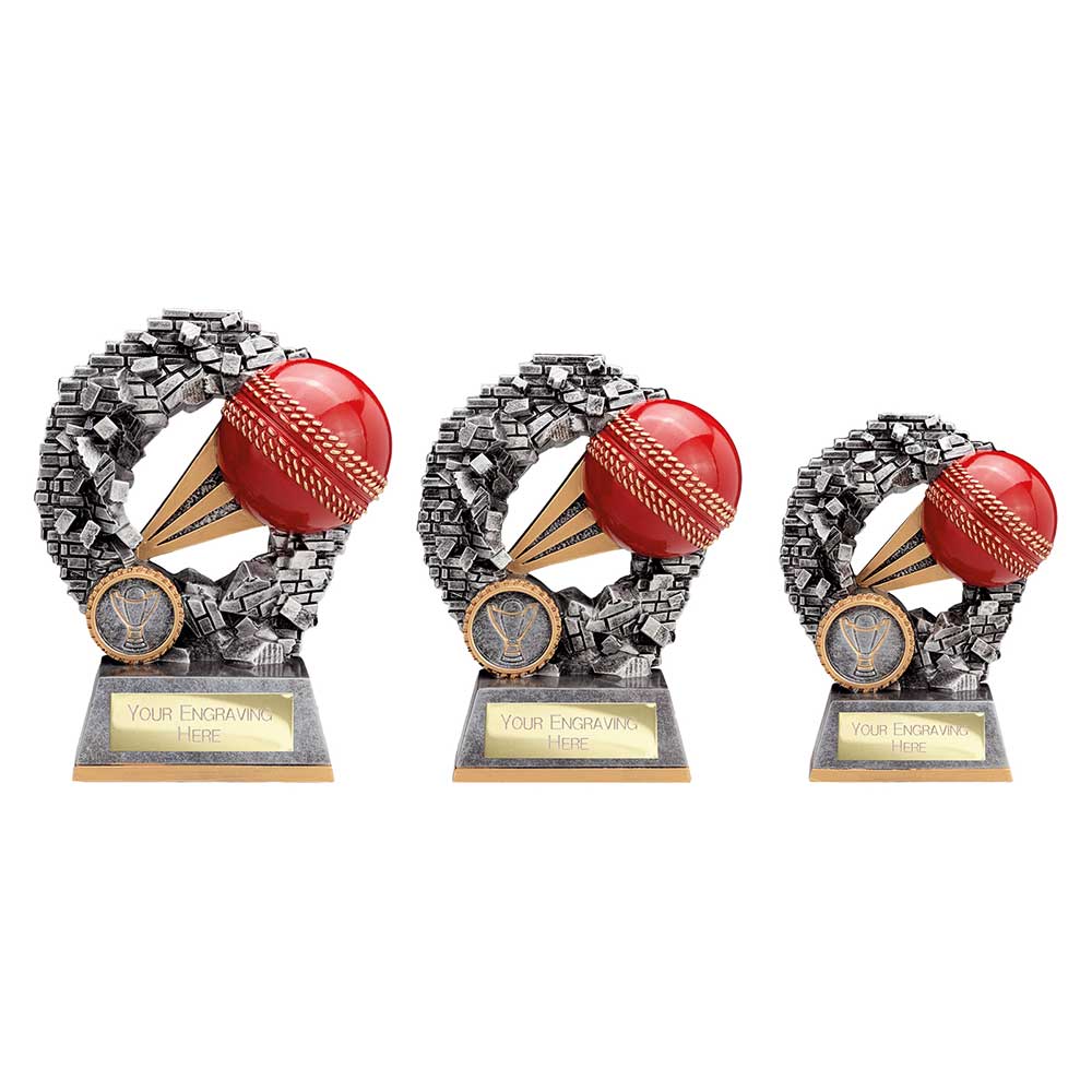 Blast Out Cricket Award