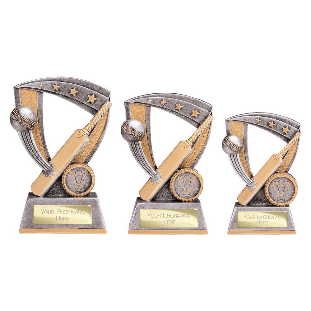 Optimum Cricket Resin Award