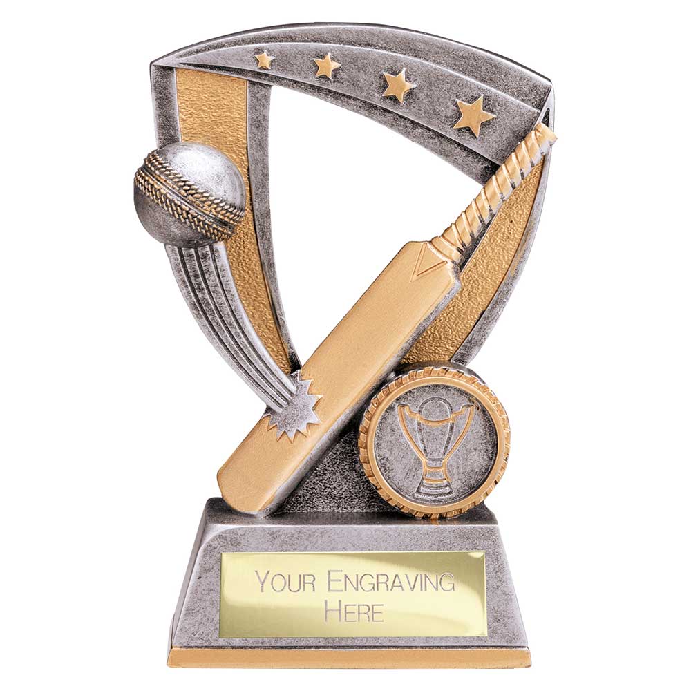 Optimum Cricket Resin Award - 140mm