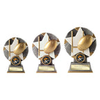 Pulse Star Rugby Award