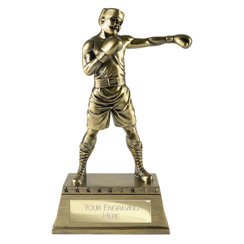 The Classic Boxing Award - 185mm