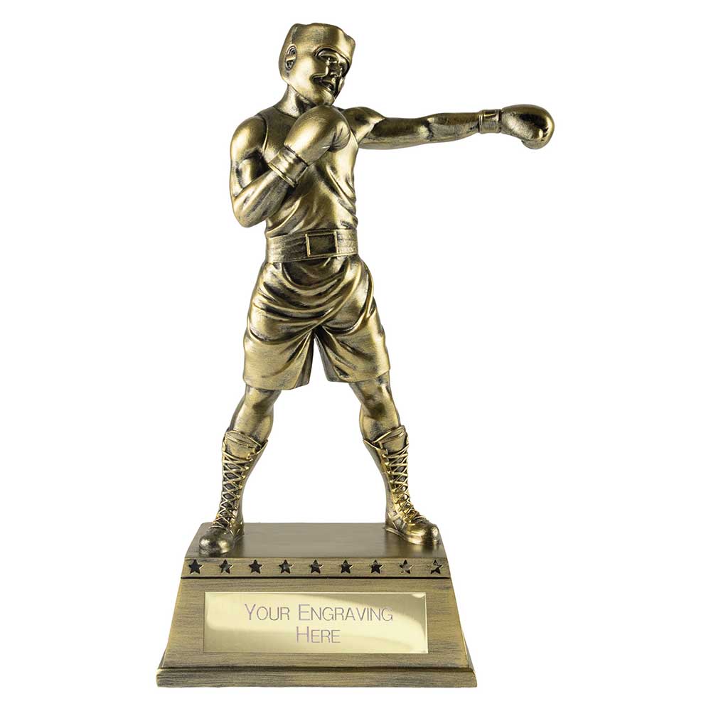 The Classic Boxing Award - 220mm