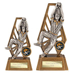 Immense Cricket Fielder Award