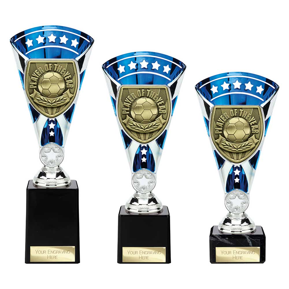 Cobra Star Cup Player of Year