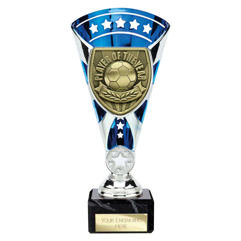 Cobra Star Cup Player of Year - 210mm