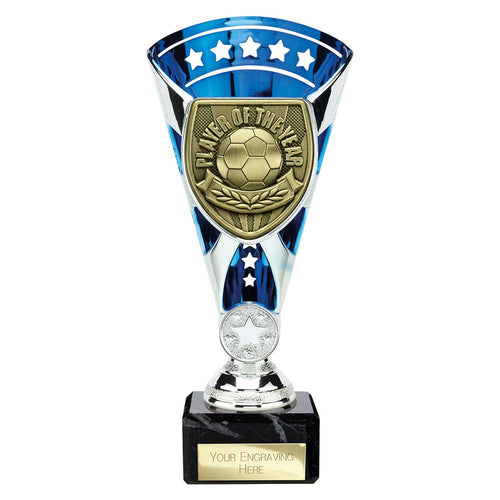 Cobra Star Cup Player of Year - 210mm