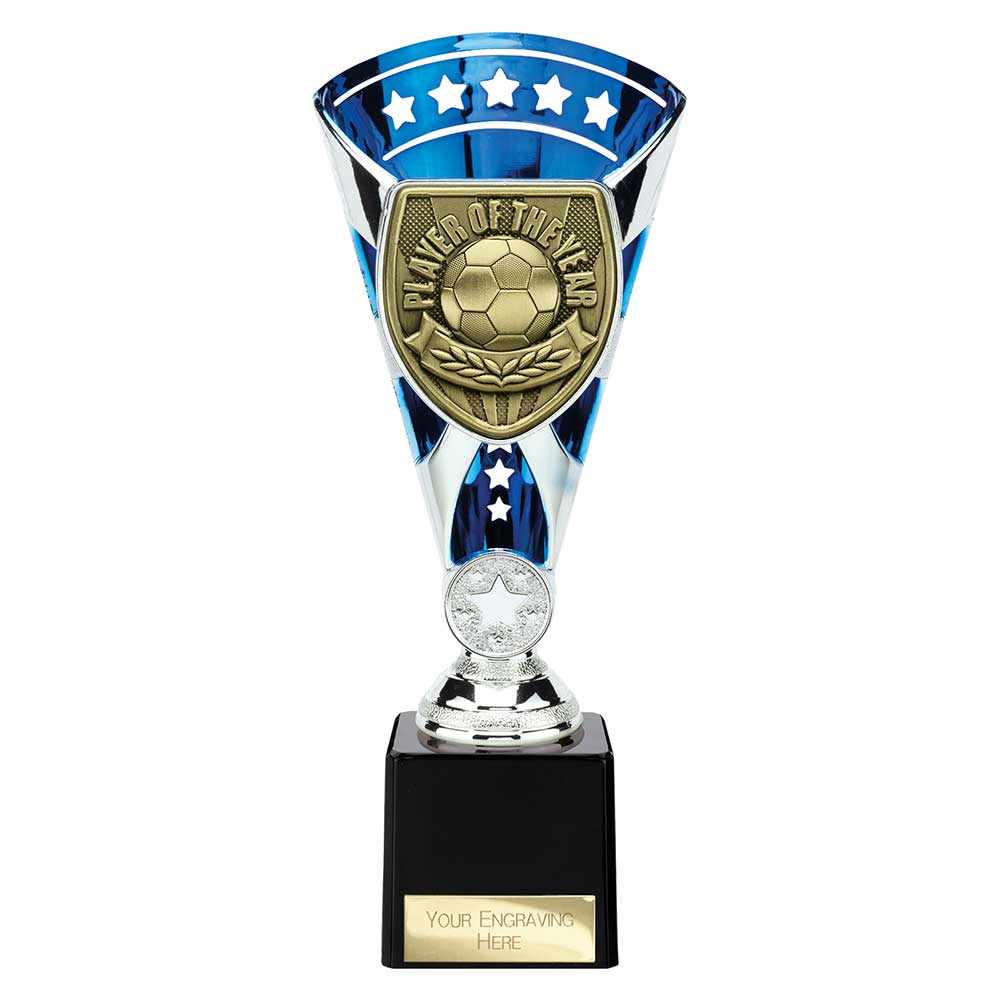 Cobra Star Cup Player of Year - 230mm