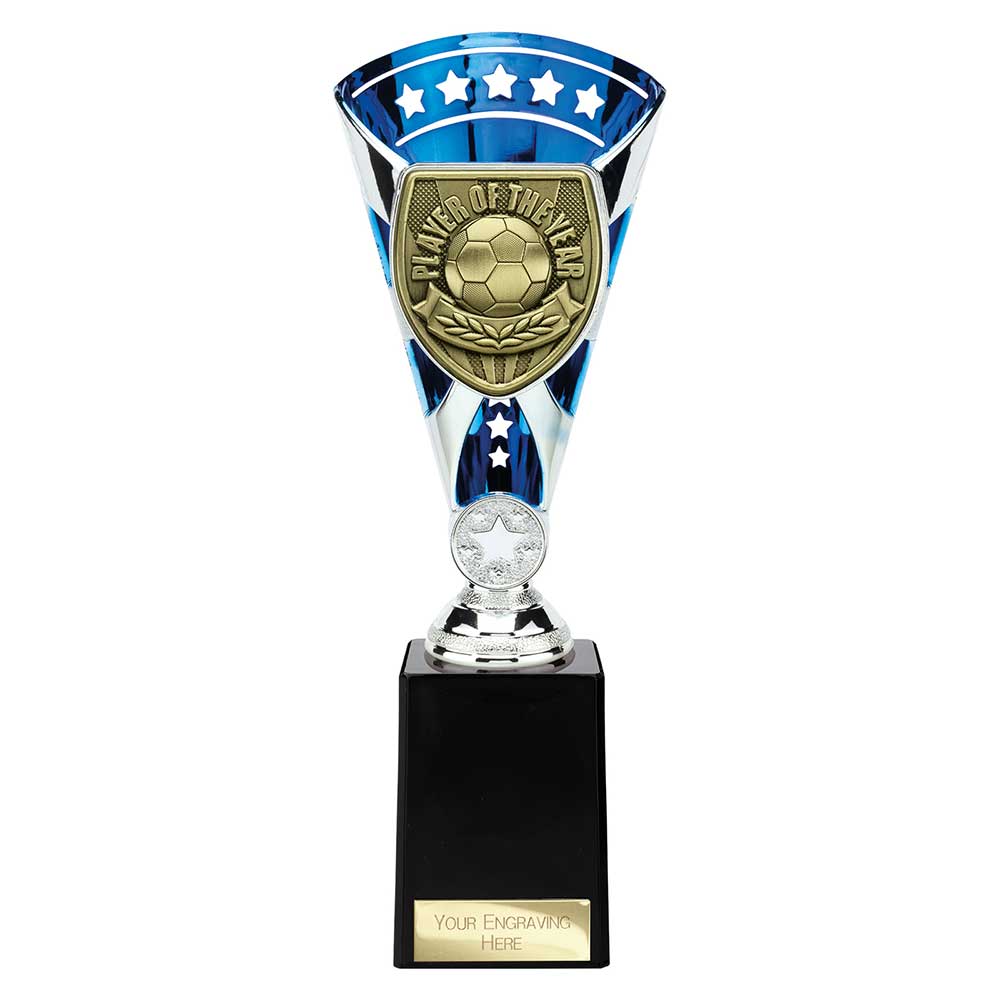 Cobra Star Cup Player of Year - 255mm