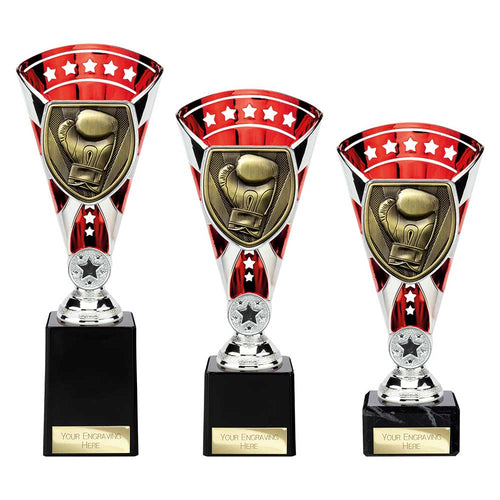 Cobra Star Cup Boxing