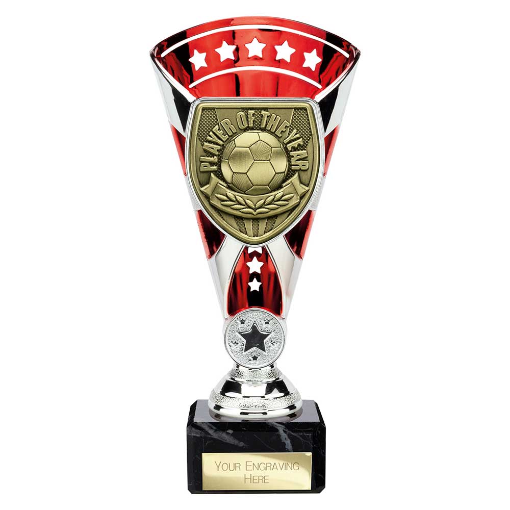 Cobra Star Cup Player of Year - 210mm