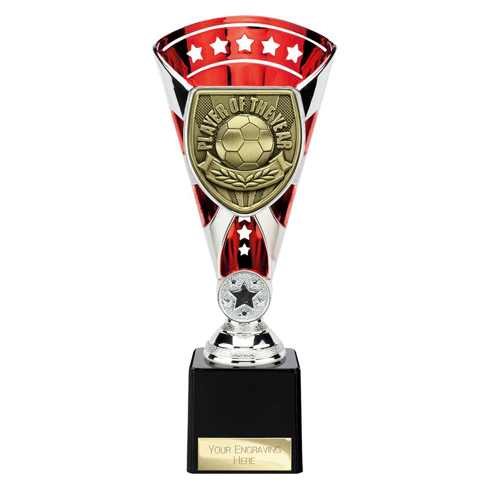 Cobra Star Cup Player of Year - 230mm