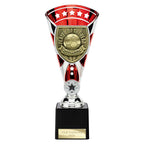 Cobra Star Cup Player of Year - 230mm