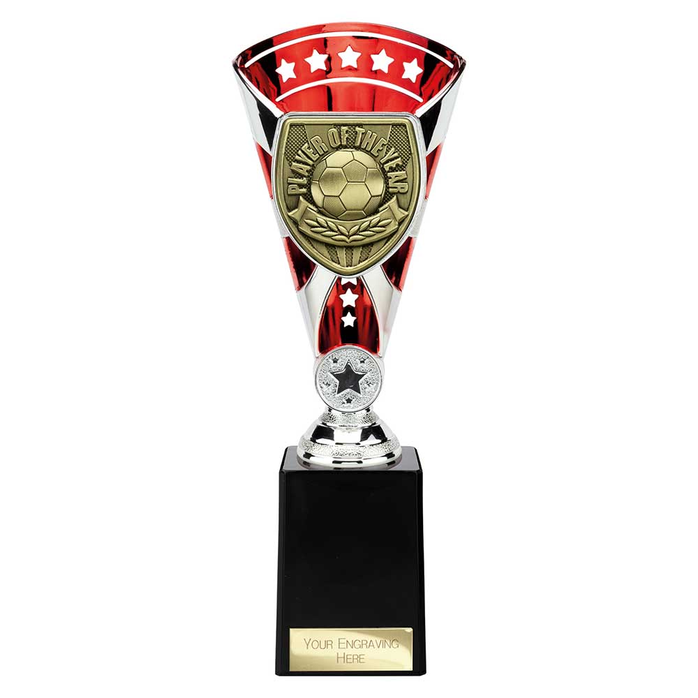 Cobra Star Cup Player of Year - 255mm
