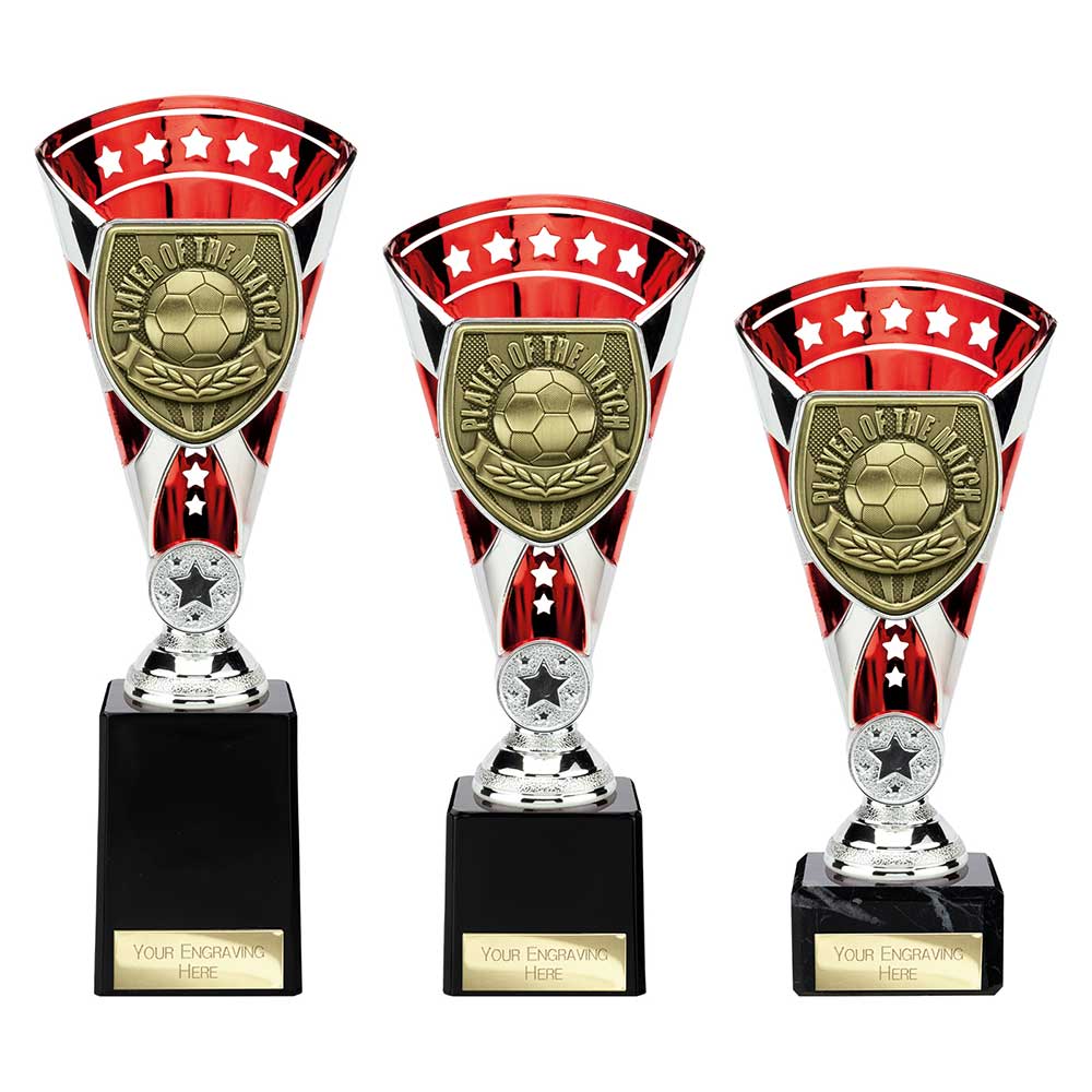 Cobra Star Cup Player of Match