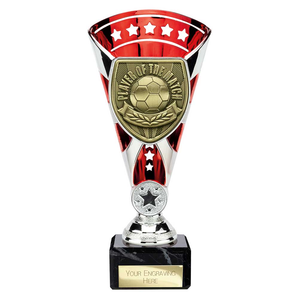 Cobra Star Cup Player of Match - 210mm
