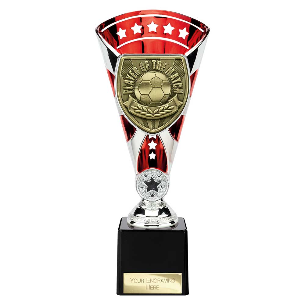 Cobra Star Cup Player of Match - 230mm