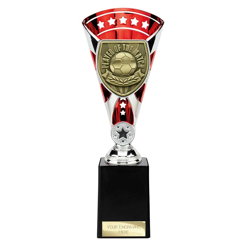 Cobra Star Cup Player of Match - 255mm