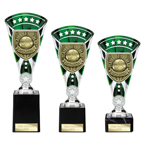 Cobra Star Cup Player of Year